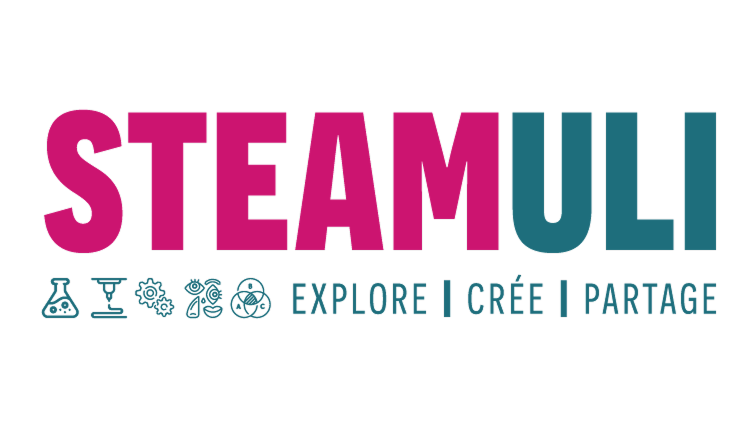 STEAMULI